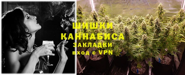гидропоника Алзамай